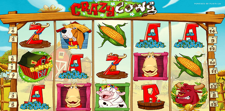 crazy-cows-playn-go-slot-oyunu